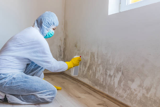 Commercial Mold Remediation assessment for commercial property in Brighton